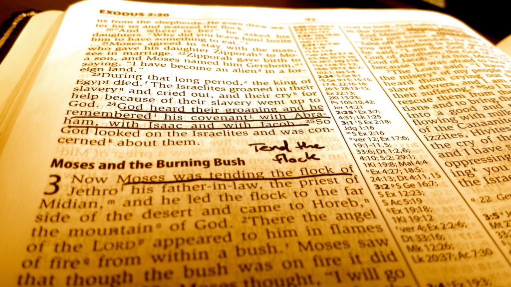 God's call of Moses as recorded in Exodus